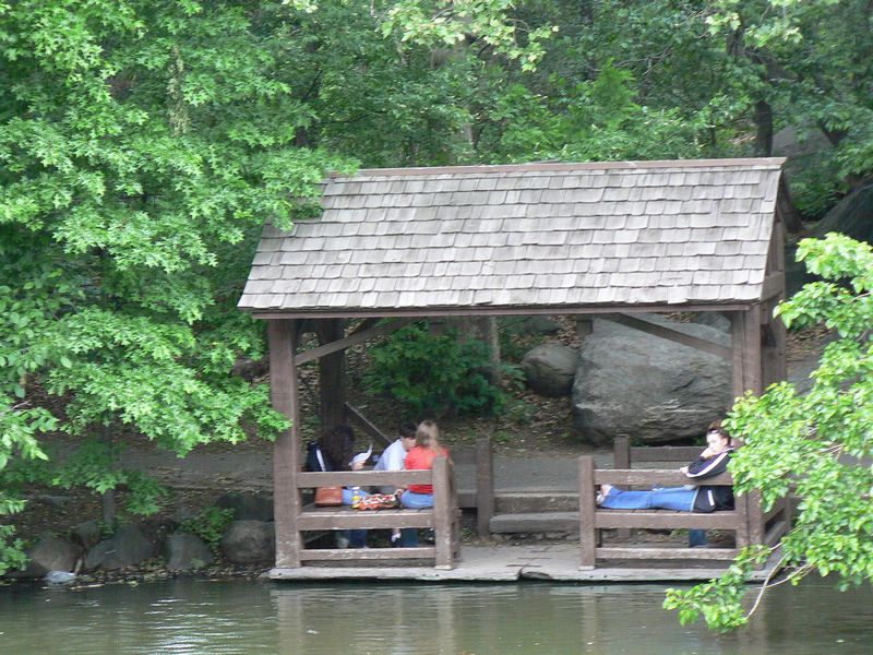 Central Park et autour: Central Park 5
